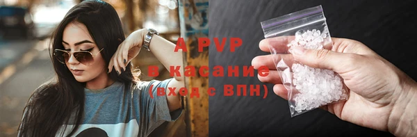 индика Нязепетровск