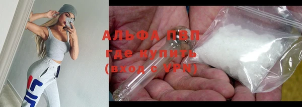 индика Нязепетровск