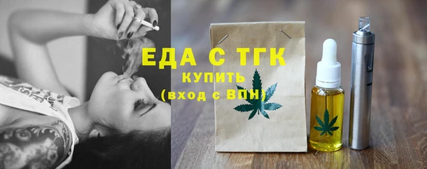 индика Нязепетровск