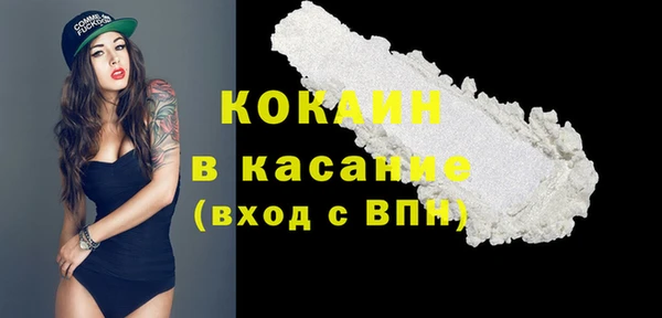 тгк Няндома