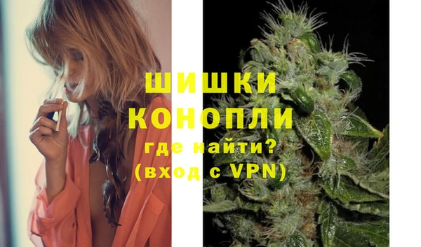 сатива Бежецк