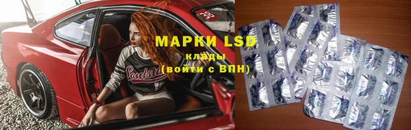 индика Нязепетровск