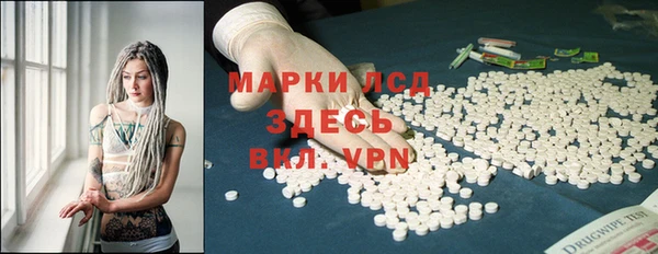 индика Нязепетровск
