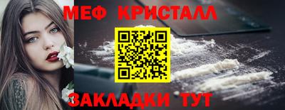 прущие грибы Абакан