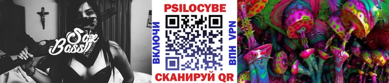 Псилоцибиновые грибы Cubensis  Черкесск 