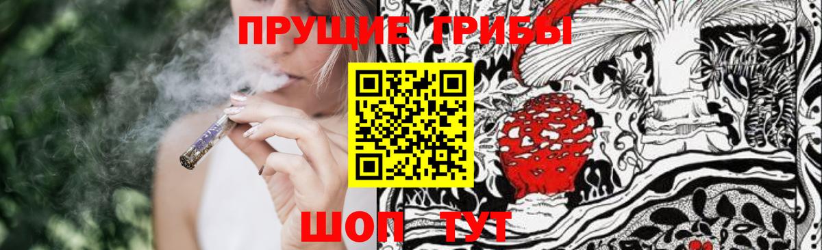 Псилоцибиновые грибы Cubensis  Галлюциногенные грибы MAGIC MUSHROOMS  Черкесск 