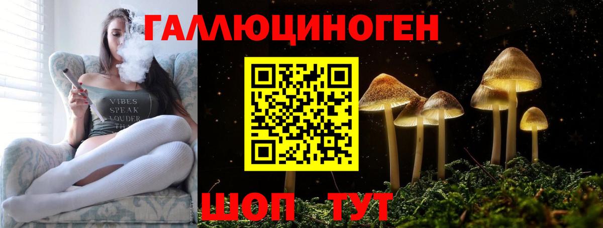 Псилоцибиновые грибы мицелий  Псилоцибиновые грибы GOLDEN TEACHER  Вход с VPN  Черкесск 